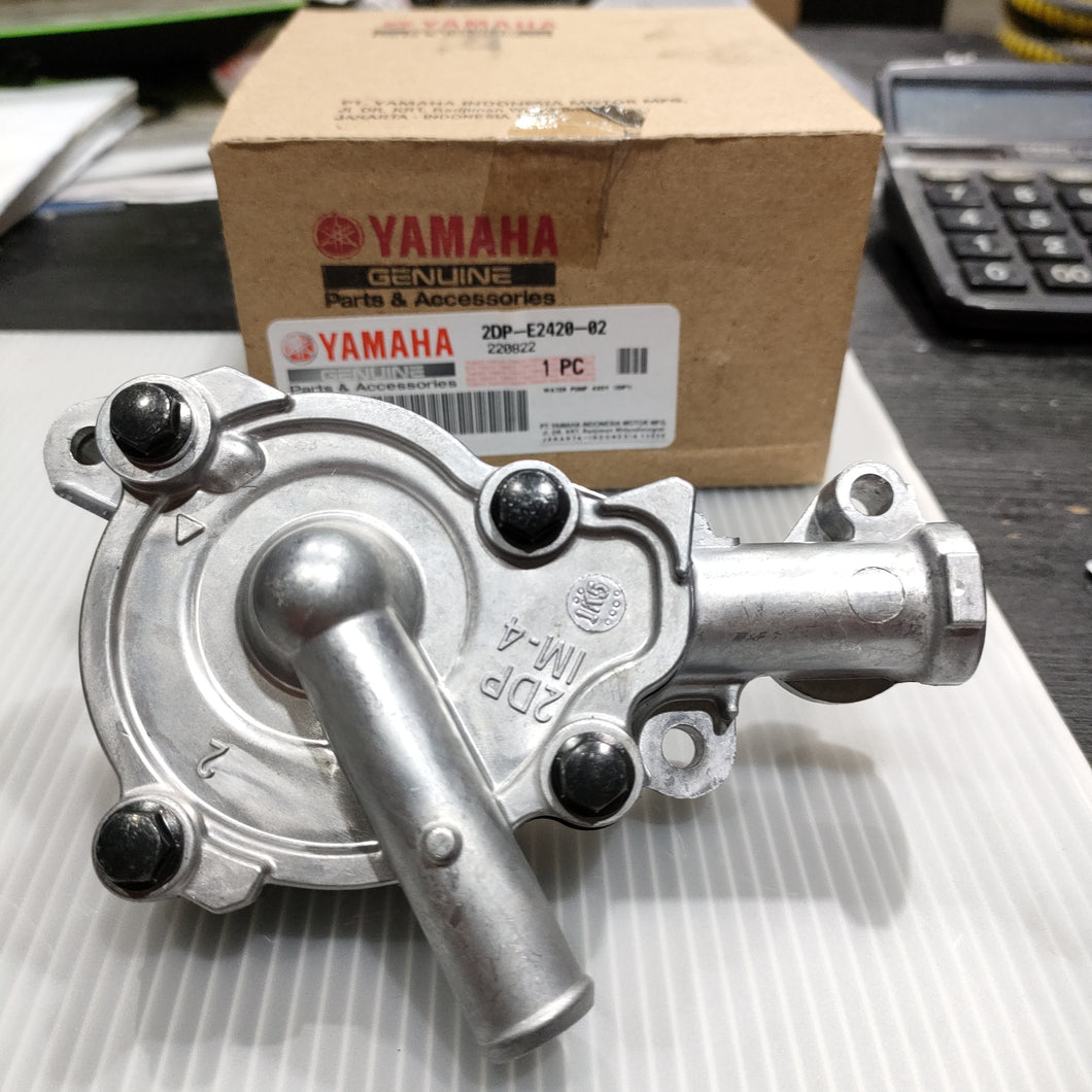 B65 2DP-E2420-02 WATER PUMP ASSY