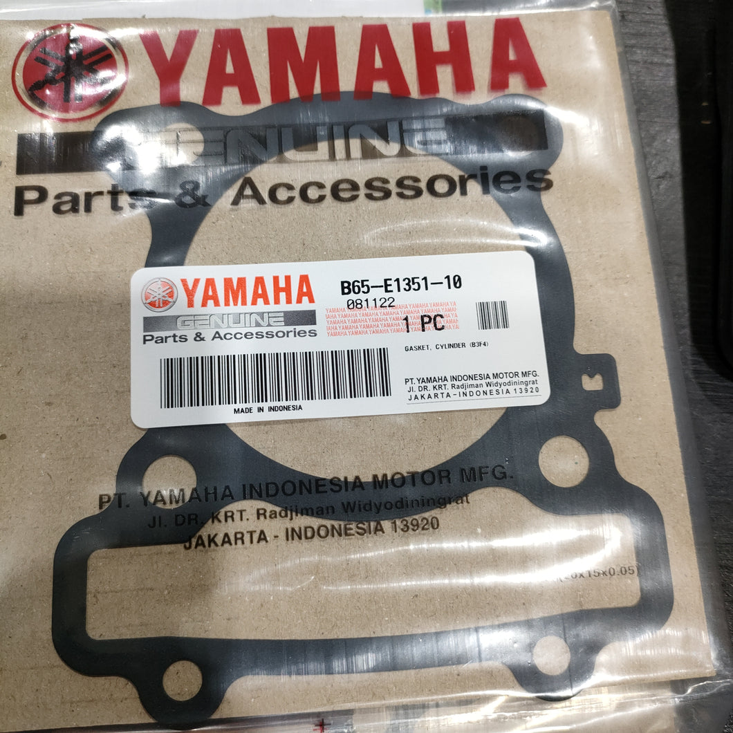 B65-E1351-10 GASKET CYLINDER