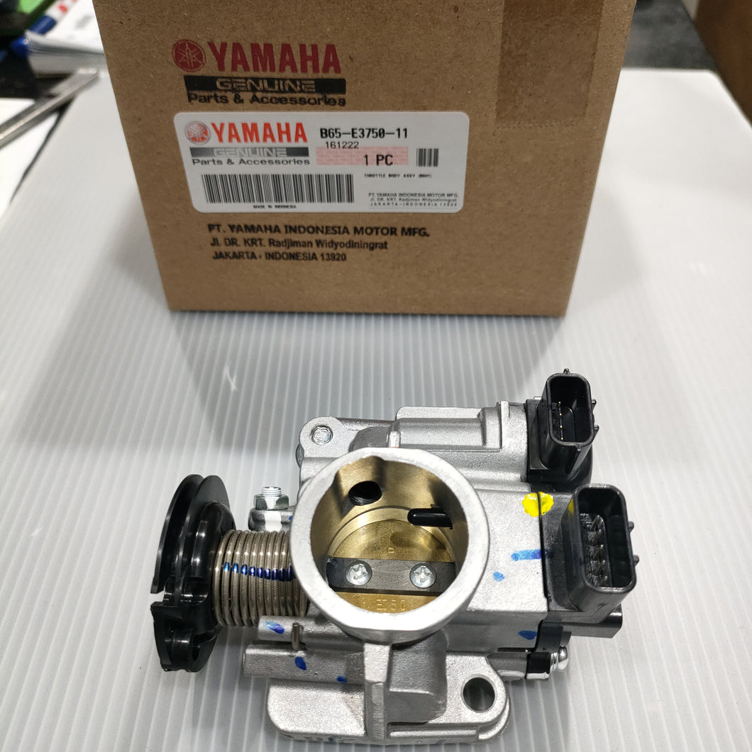 B65-E3750-11 THROTTLE BODY ASSY
