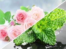 Load image into Gallery viewer, Cooling Spray Cylion
